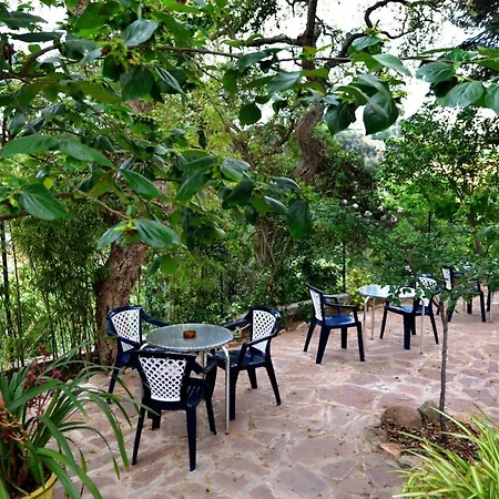 Magnolia Πανσιόν 2*