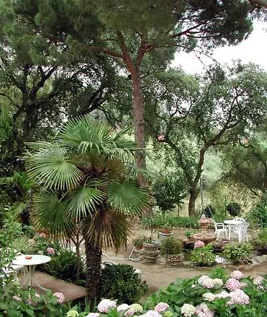 Magnolia Vendégház