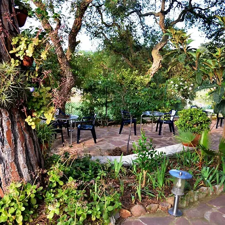 Pensión Magnolia Lloret de Mar