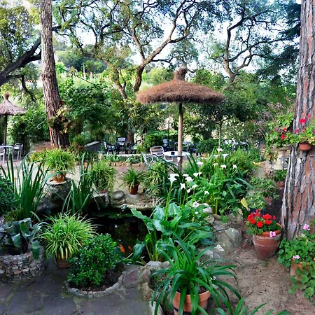 Magnolia Pensión 2*