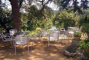 בית הארחה Magnolia 2*