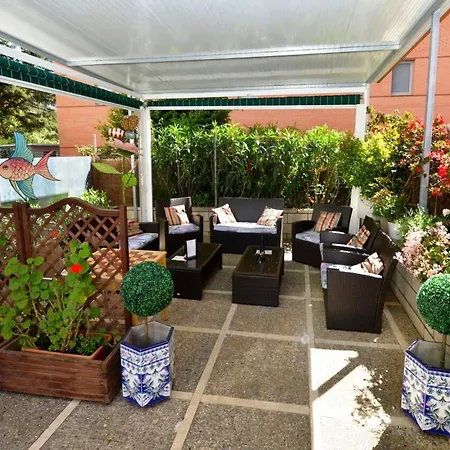 Guest house Magnolia 2*