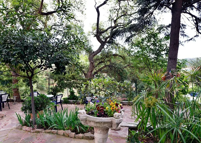 Magnolia 2*