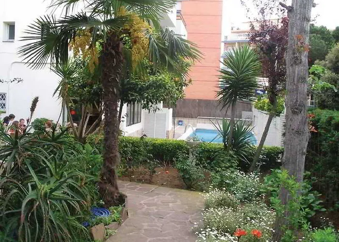 Magnolia يوريت دي مار